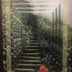 بعد از چهل سالگی