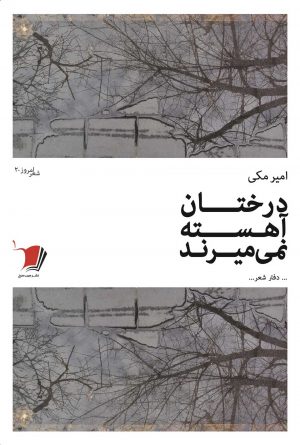 درختان آهسته نمی میرند