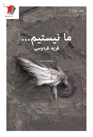 ما نيستيم