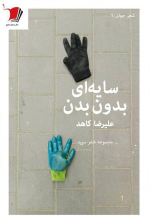 سایه‌ای بدون بدن