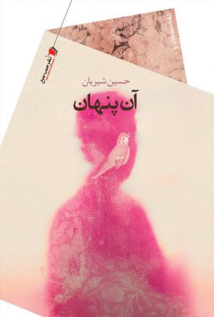 آن پنهان