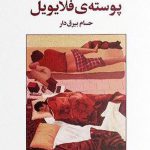 پوسته ی فلایویل