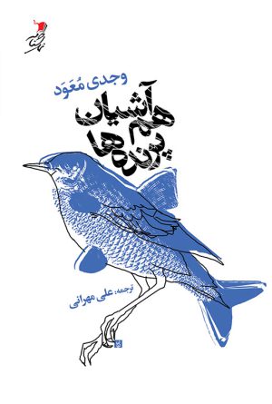 هم آشیان پرنده ها
