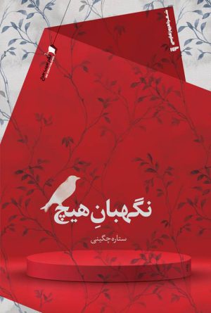 نگهبان هیچ