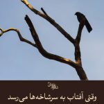 وقتی آفتاب به سرشاخه ها می رسد