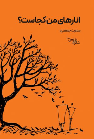 انارهای من کجاست
