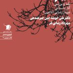 نیم نگاه