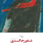شعور خاکستری