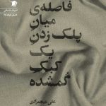 فاصله ی میانِ پلک زدنِ یک کبک گمشده
